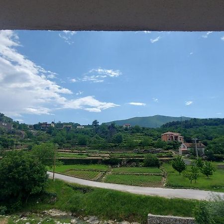 Apartman Nature Zvecanje Εξωτερικό φωτογραφία