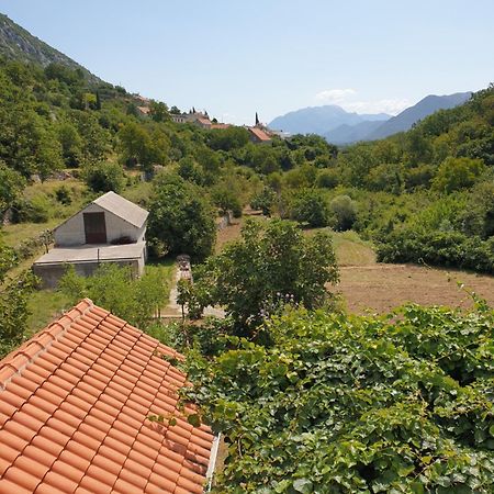 Apartman Nature Zvecanje Εξωτερικό φωτογραφία